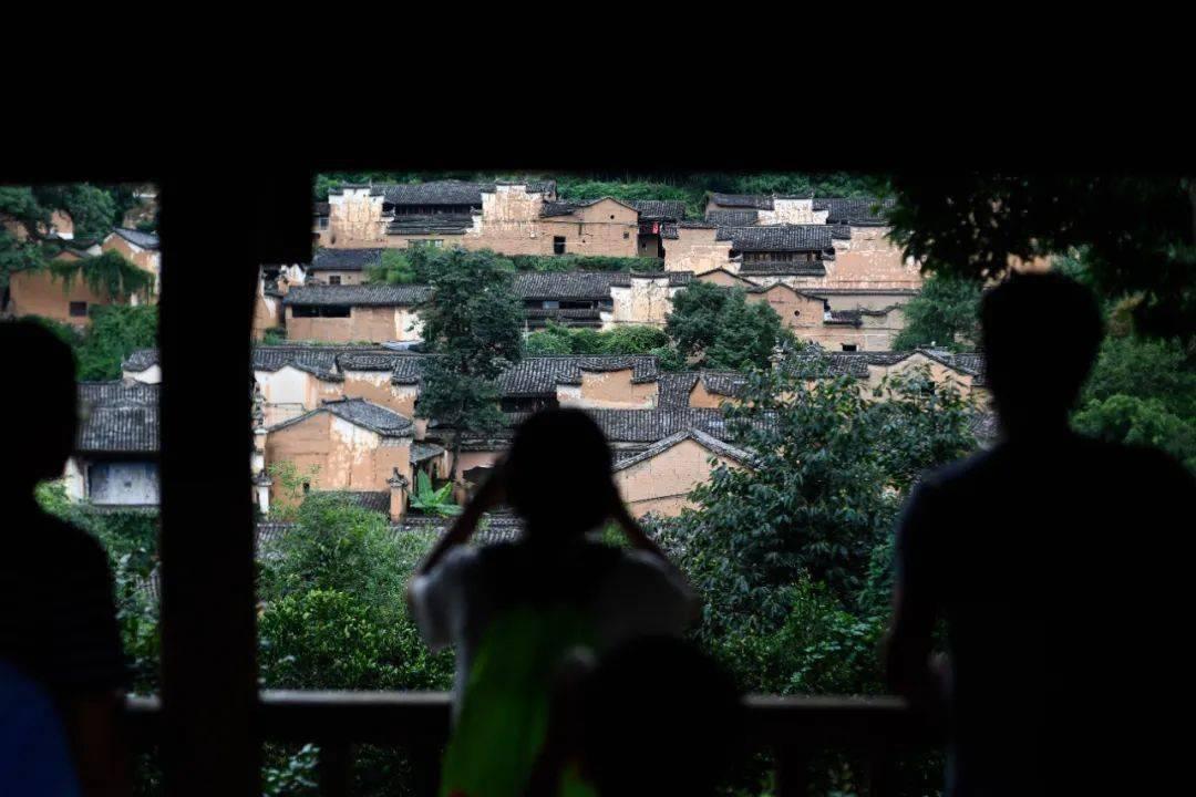 救援甜蜜熊