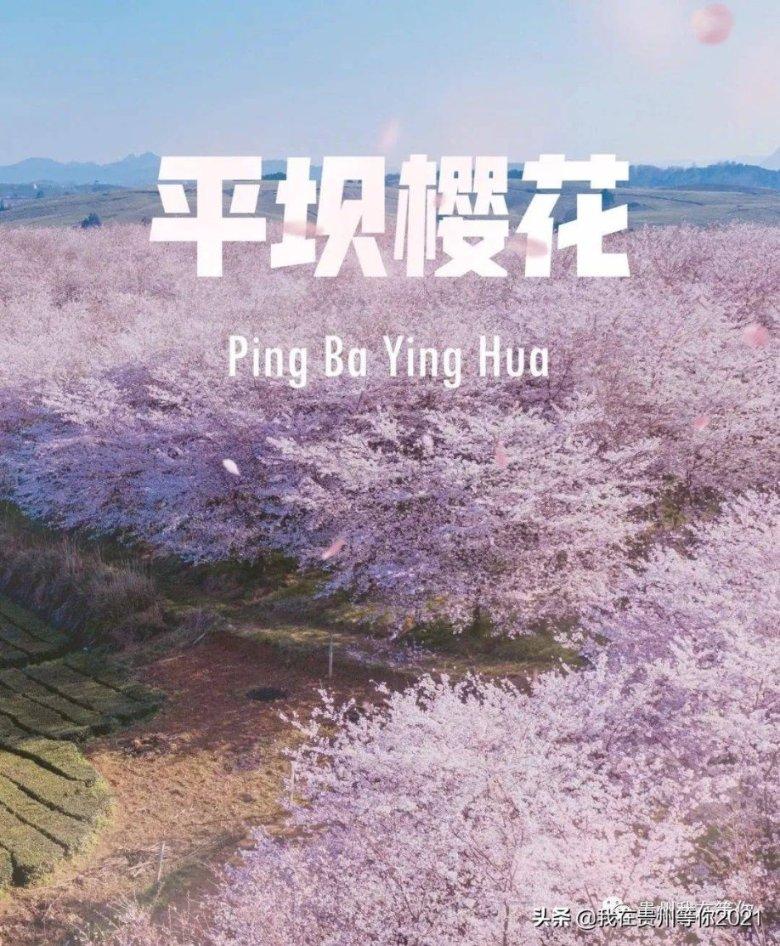 我有一个非常不好的习惯，我喜欢和别人倾诉自己不开心的事，甚至是家里的丑事，一个是说了心里上？游戏画面