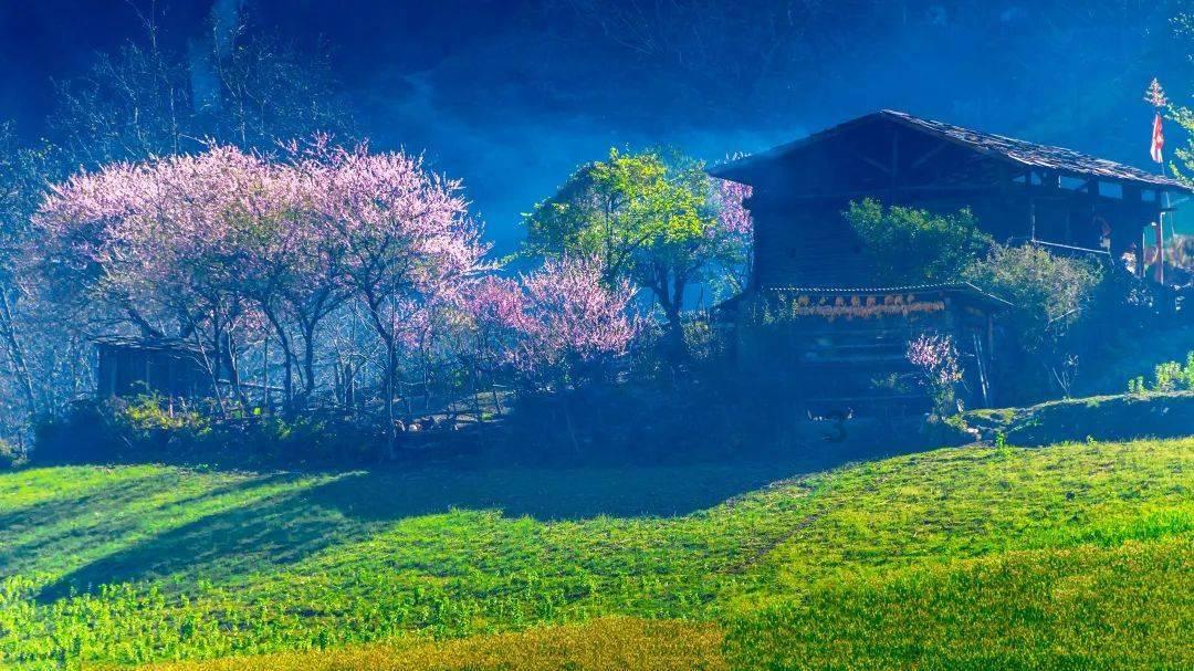 召唤神龙万宁版祖龙