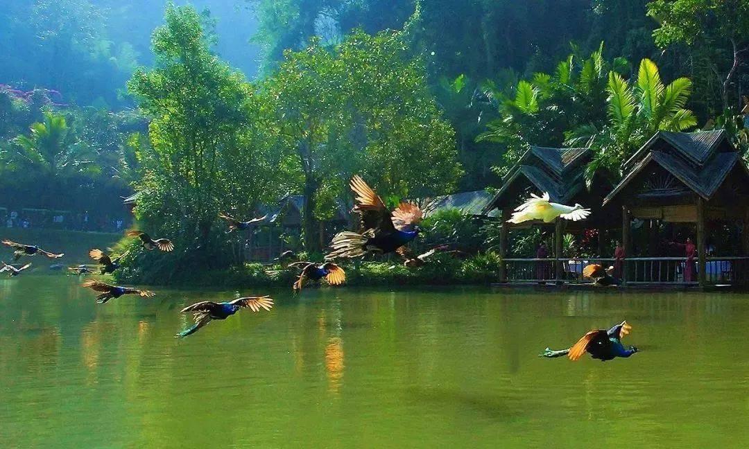 羞辱2