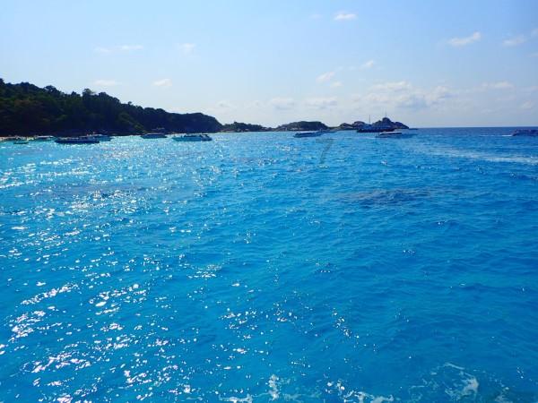 初音大冒险