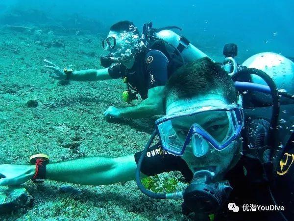卖掉特斯拉买回燃油车？租车巨头有苦说不出
