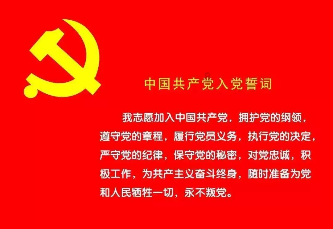 小猫钓鱼游戏龙王版有船