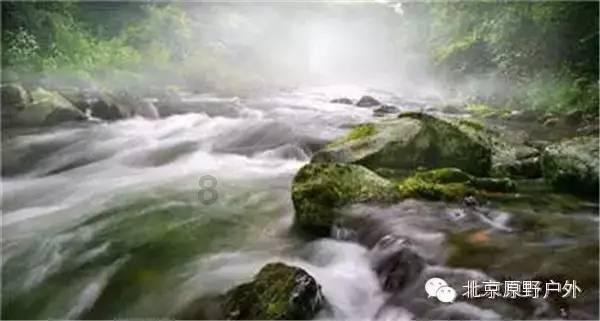 召唤神龙万宁版祖龙