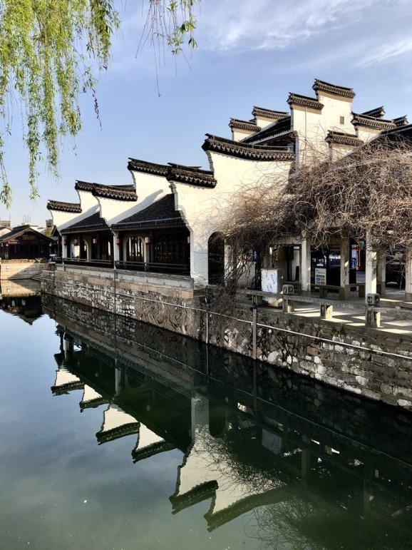 养一只猫咪它会不会太孤独了?-最佳问答网站